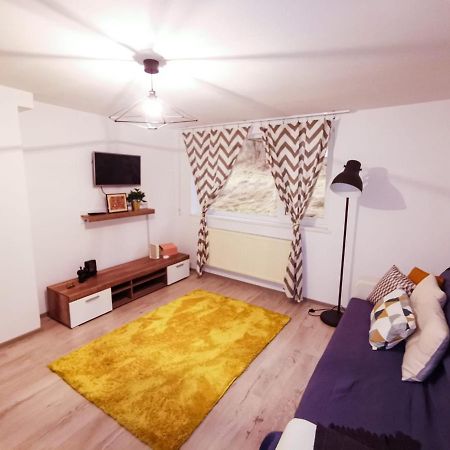 105500 Apartment Buşteni Zewnętrze zdjęcie