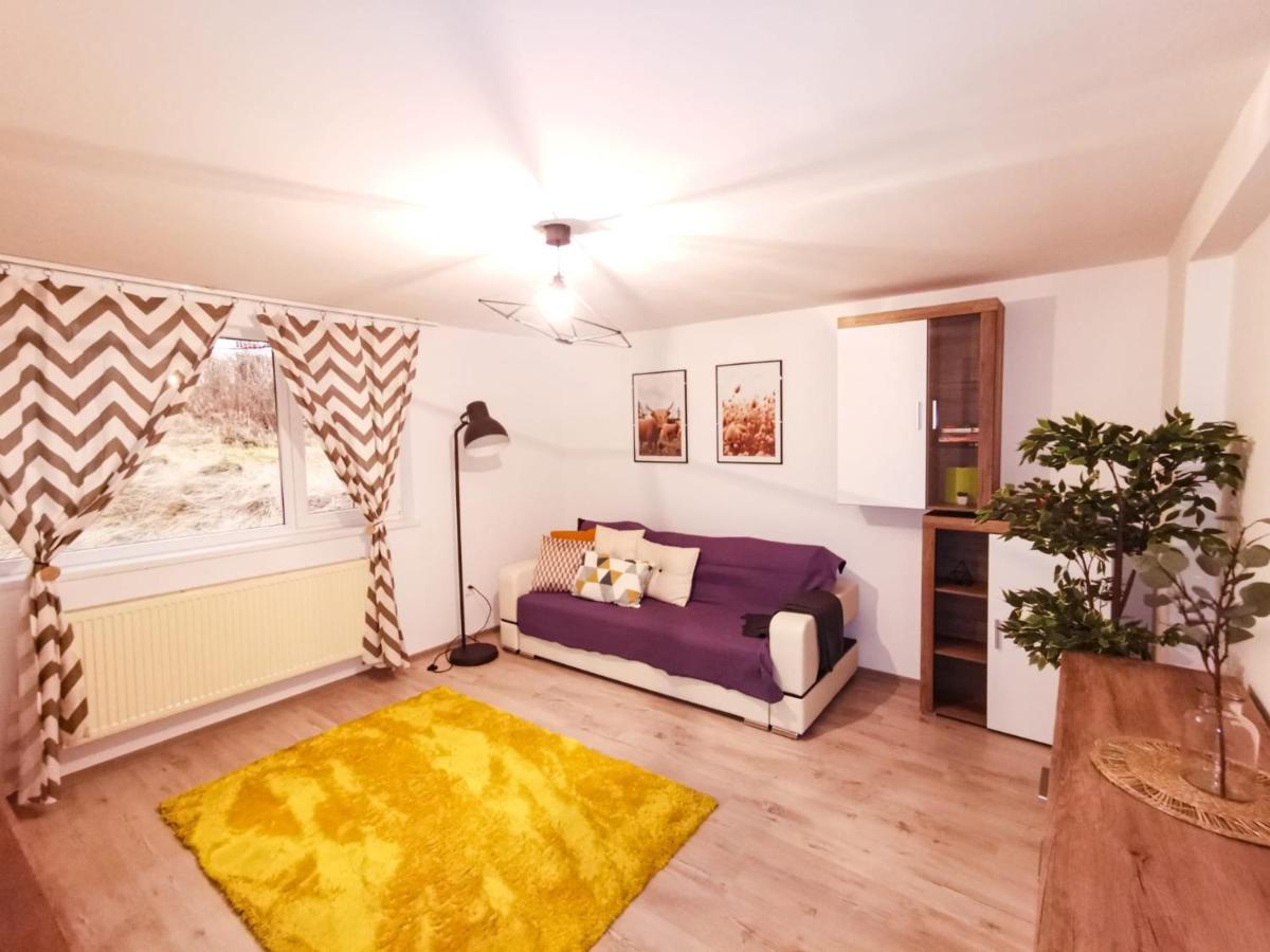 105500 Apartment Buşteni Zewnętrze zdjęcie