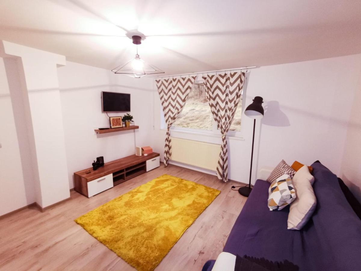 105500 Apartment Buşteni Zewnętrze zdjęcie