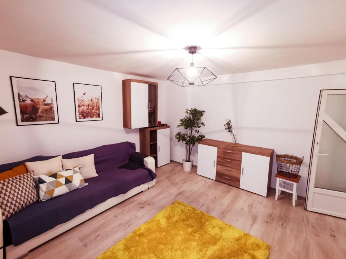 105500 Apartment Buşteni Zewnętrze zdjęcie